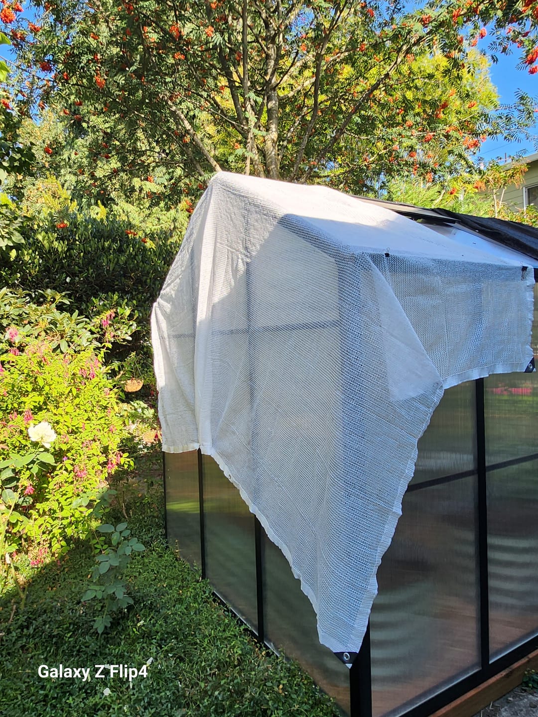Customer photo review of 40% Shade Cloth