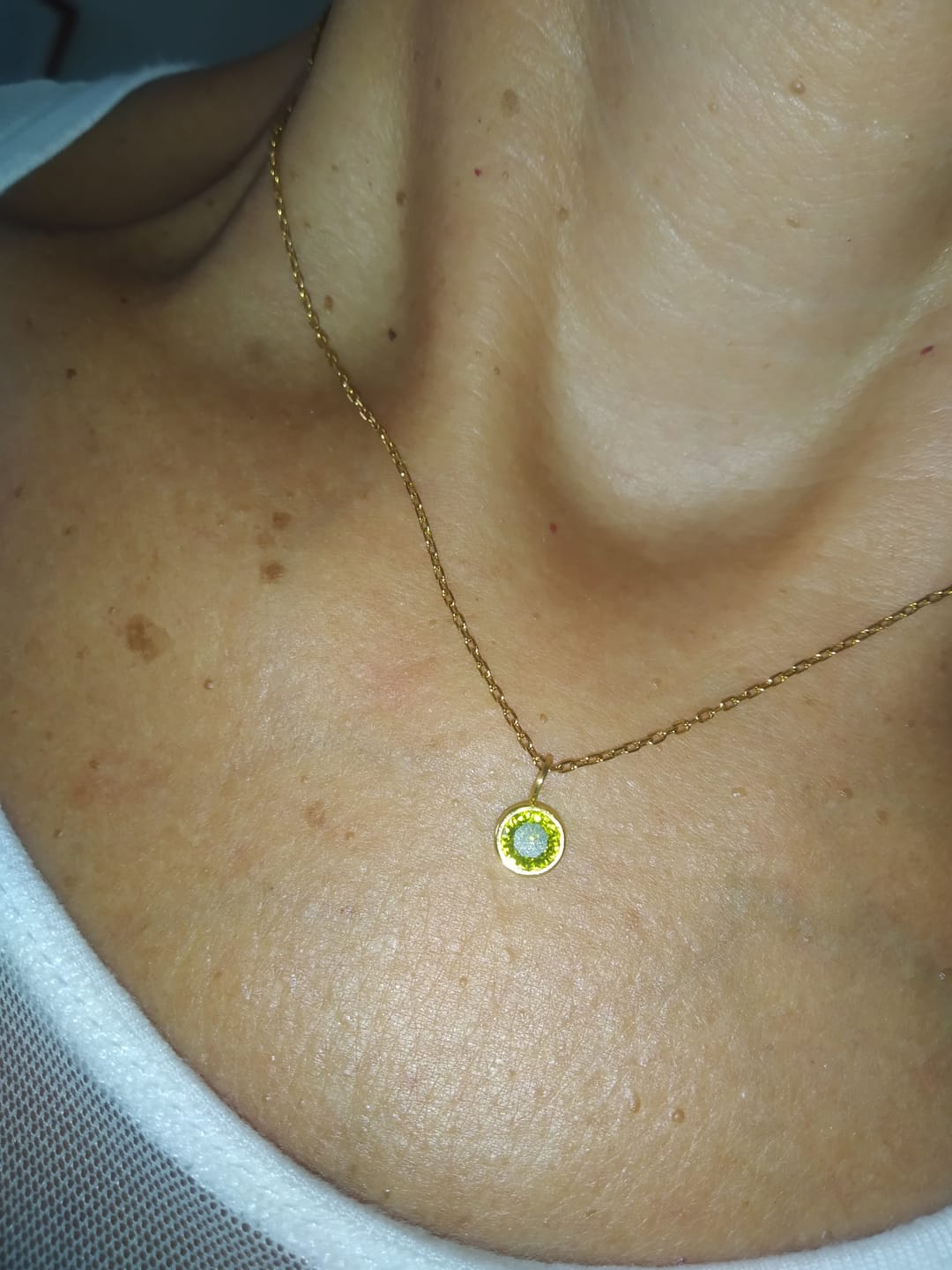 Customer photo review of Collar Colores del año