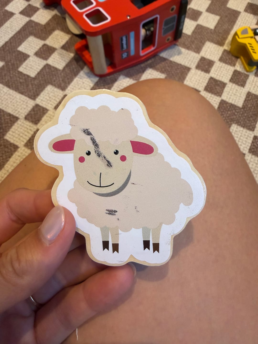 Customer photo review of Meet The Animals (set of 20)