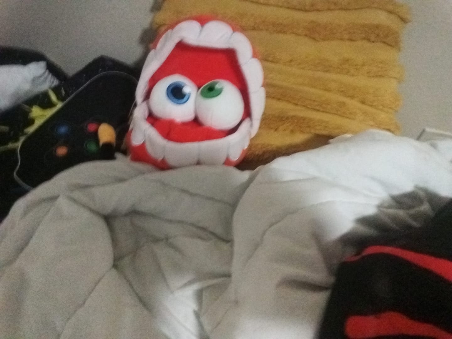 Customer photo review of Caine Plush
