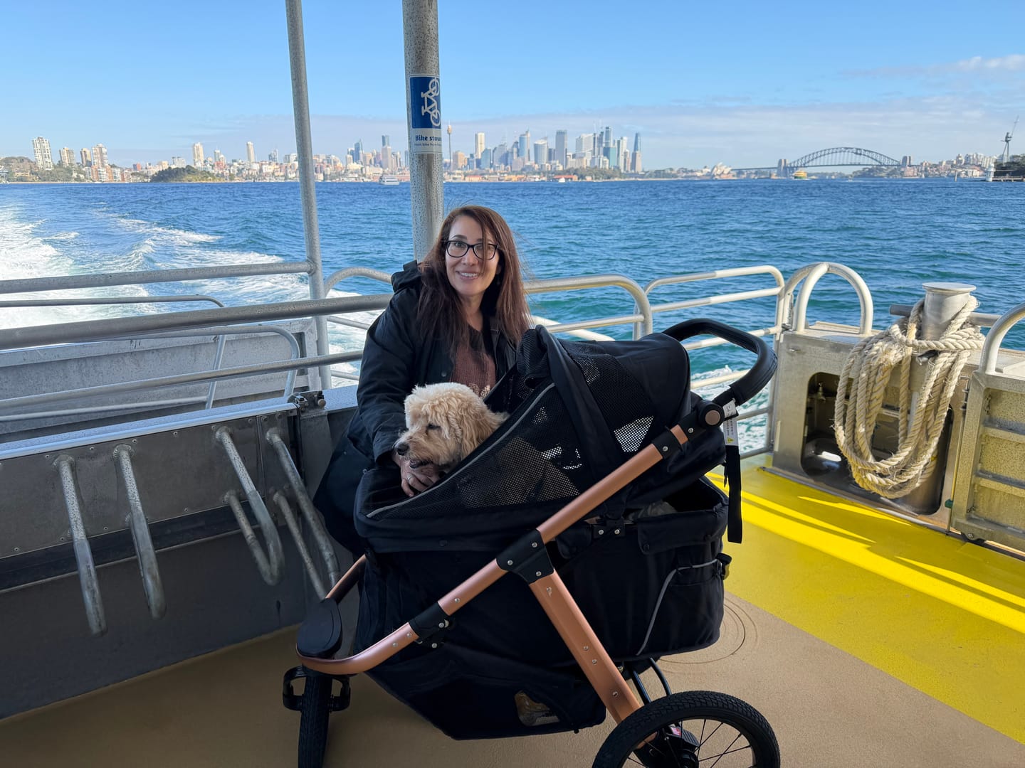 Customer photo review of Sports Large Pet Stroller