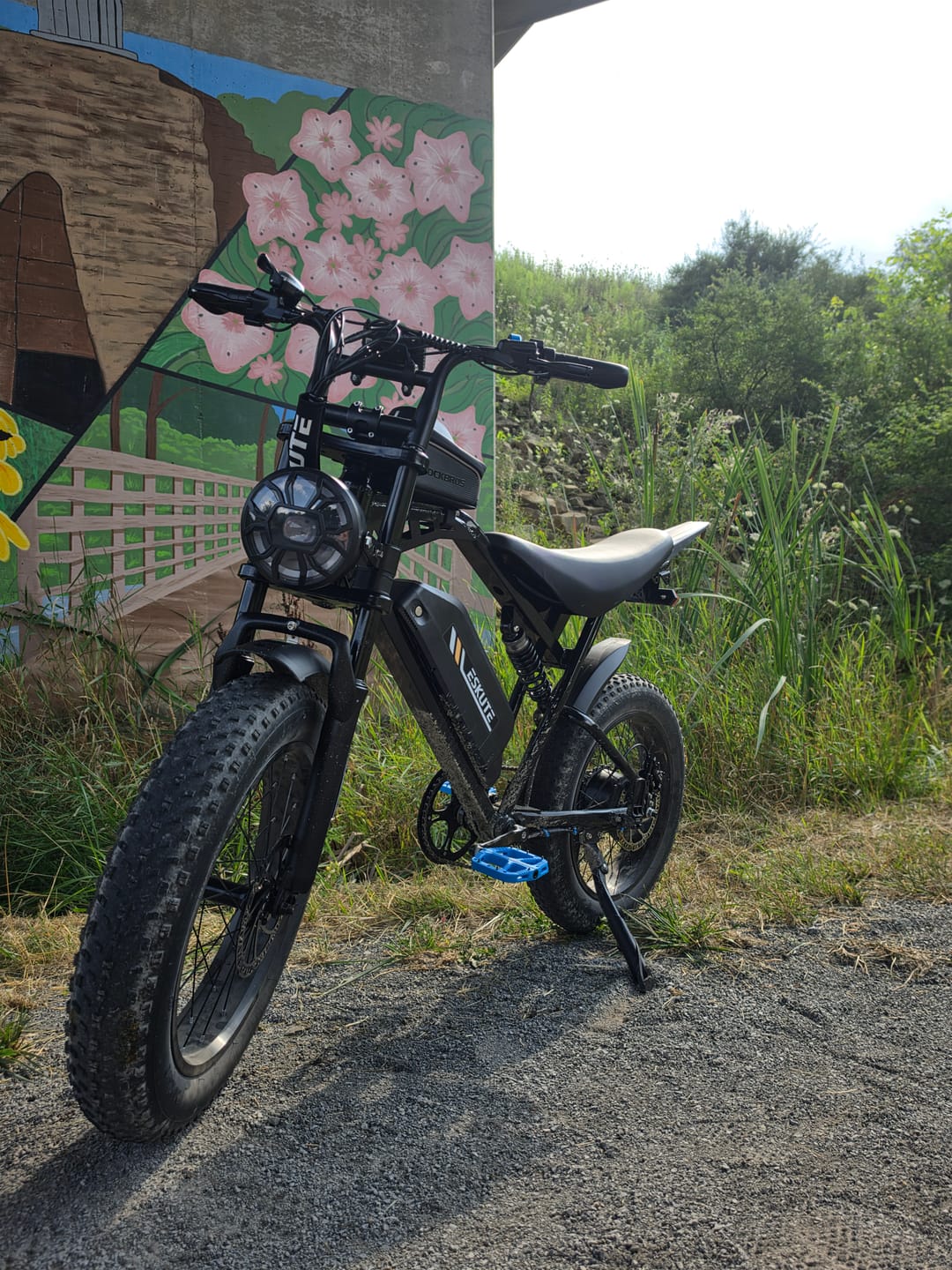 Customer photo review of Eskute® V200 20*4.0" Dirt Electric Bike for Kids&Teens