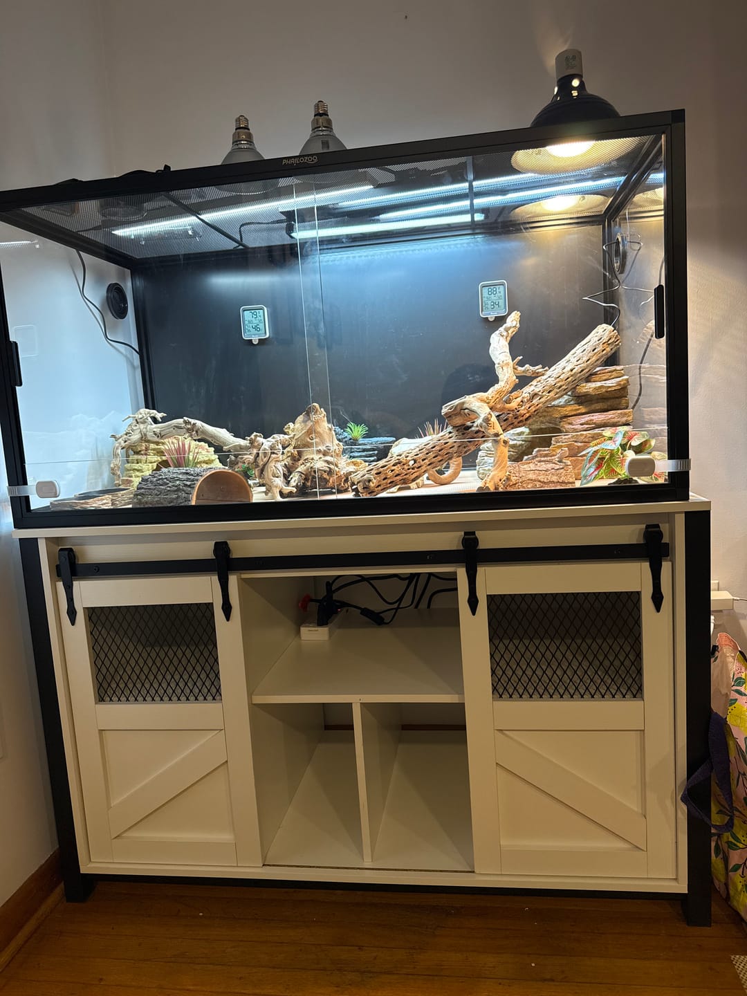 Customer photo review of 120 Gallon Bearded Dragon Enclosure 4x2x2