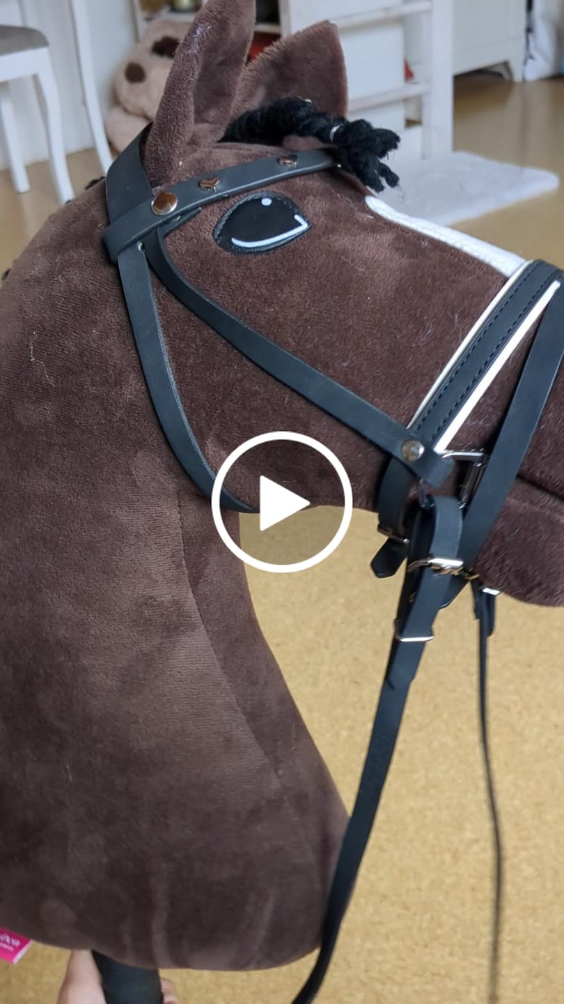 Customer video review of Complete De Luxe bridle with 2 browbands