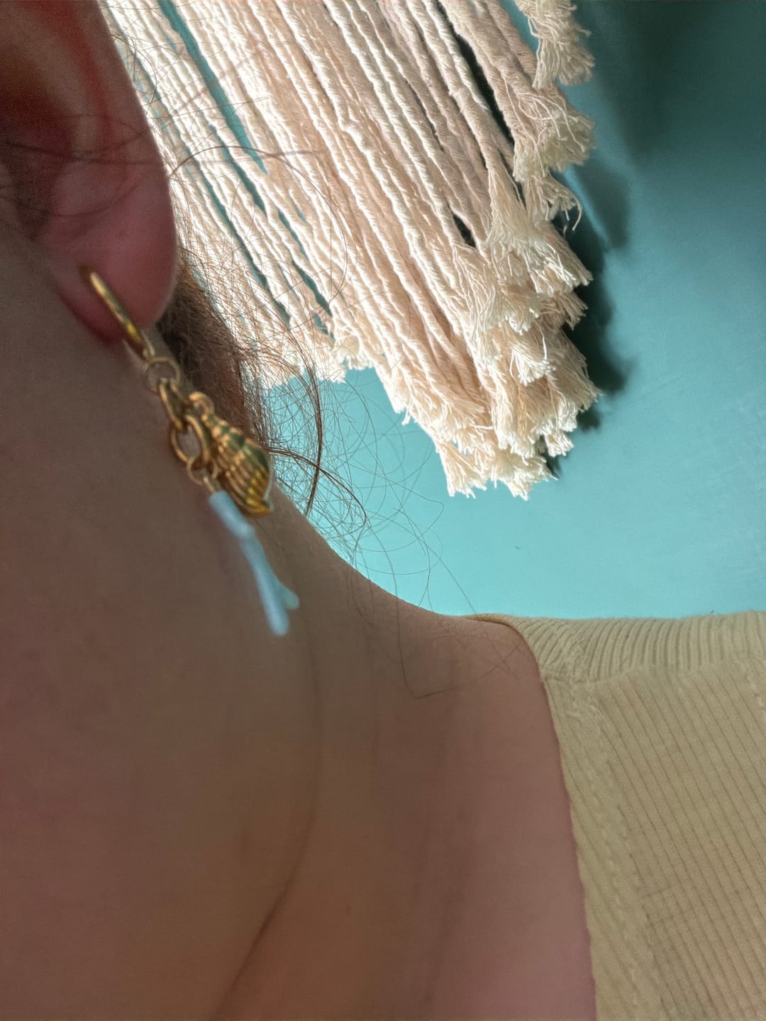 Customer photo review of Hoops Sea Life