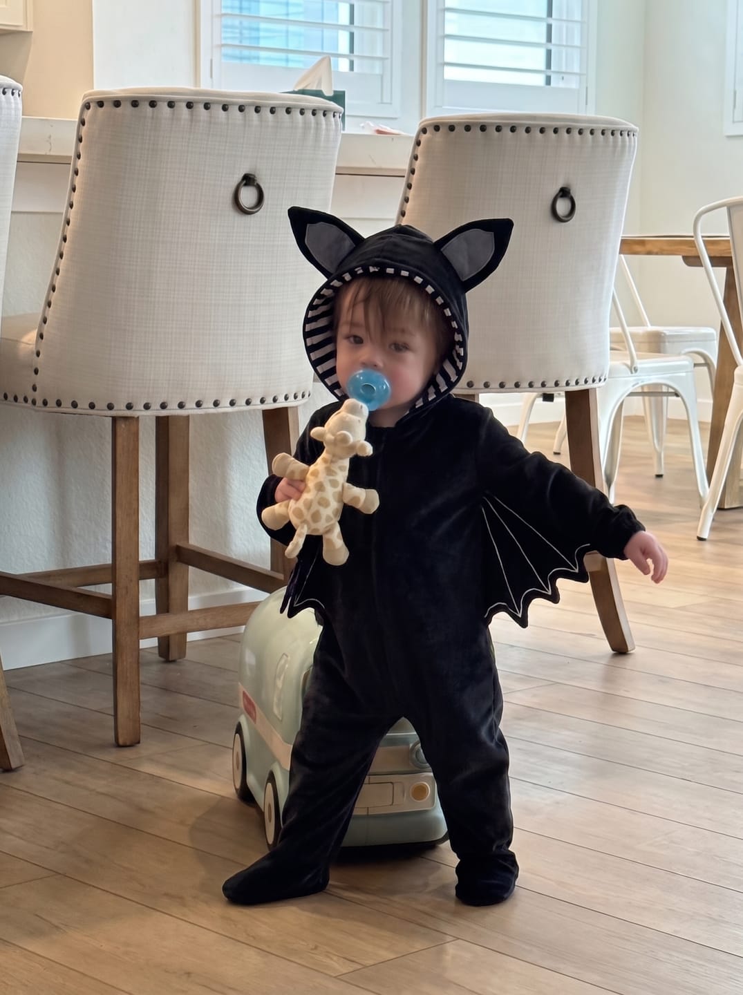 Customer photo review of Baby Bat Costume