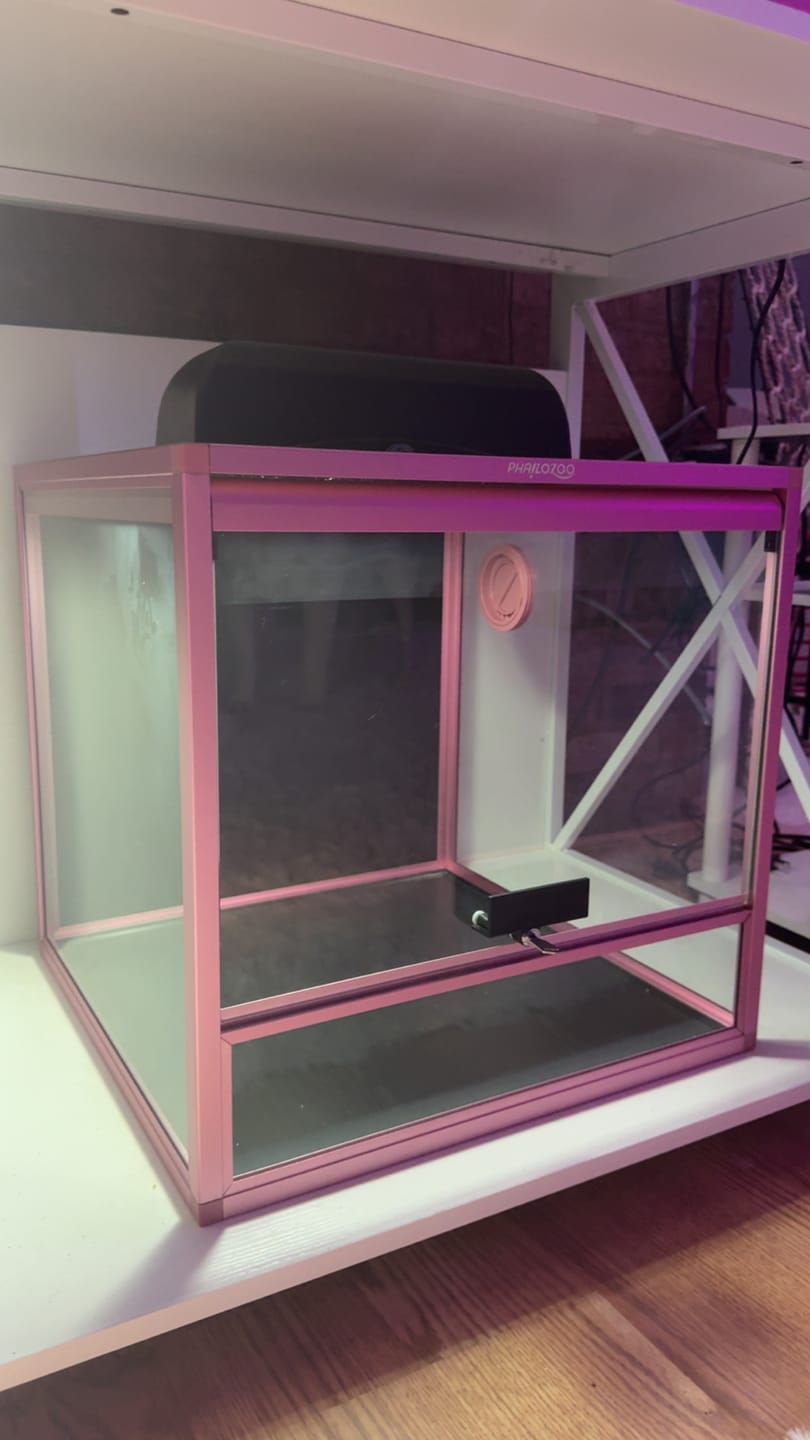 Customer photo review of 24 Gallon Reptile Enclosures 18x18x18" with Lock! Perfect for Beginner! Bottom NOT LEAKPROOF