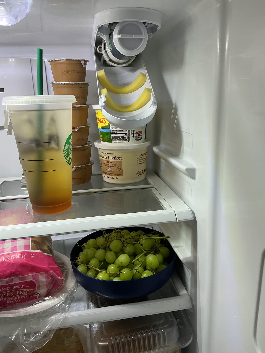 Customer photo review of GlacierFresh GFXWFE™ Water Filter - NSF Certified with RFID Chip