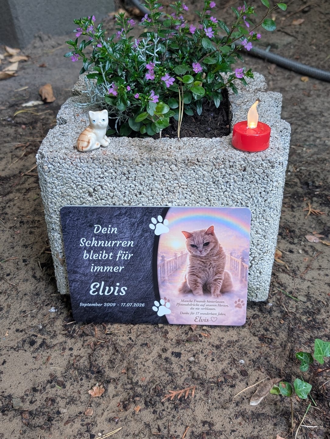 Customer photo review of Katzen Gedenktafel mit Foto & Spruch (UV- & Wetterfest)
