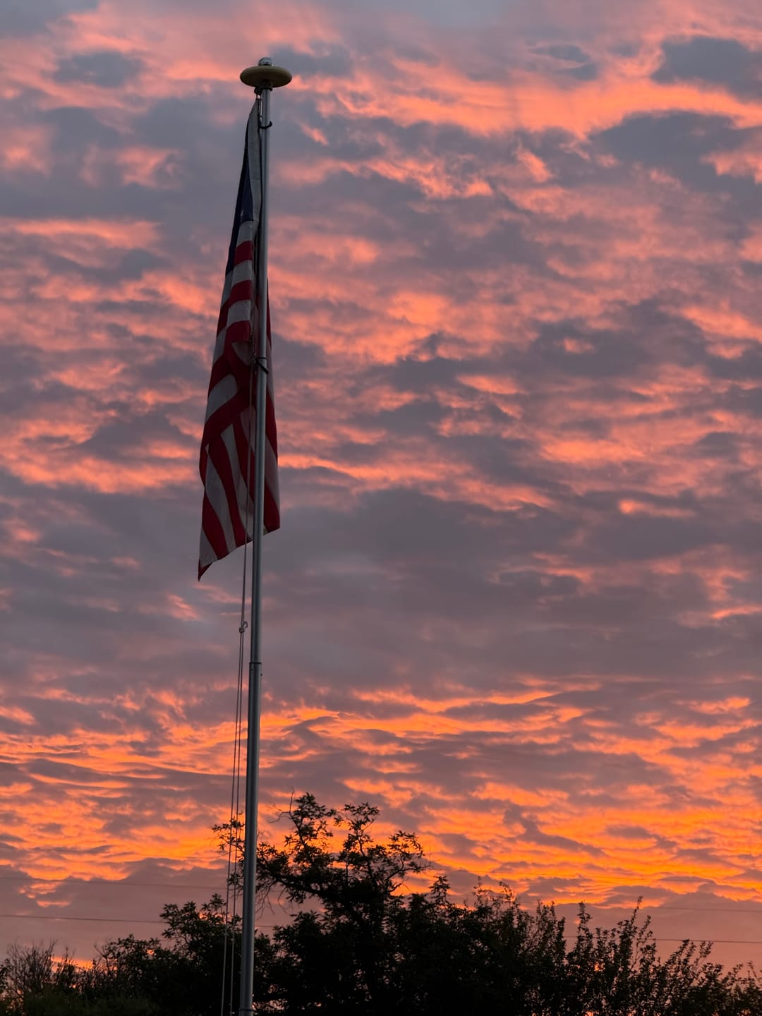 Customer photo review of 4' x 6' American Flag