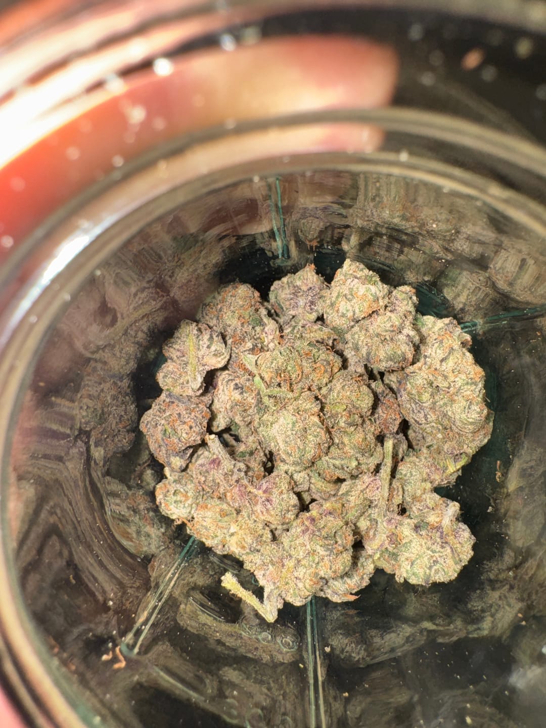 Customer photo review of Blue Lobster 26 Grams