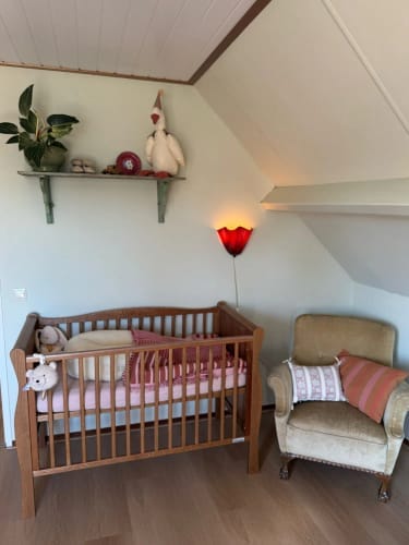Customer photo review of Retro Glass Shell Wall Light Sconce