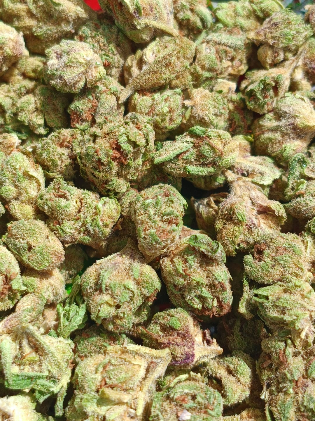 Customer photo review of Light Assist THCA Smalls