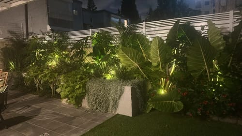 Customer photo review of Solar Garden Spotlights - 4-Pack IP65 Waterproof LED Light