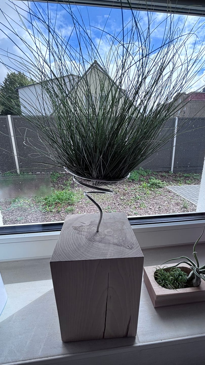 Customer photo review of Tilly Xylo - Gigant