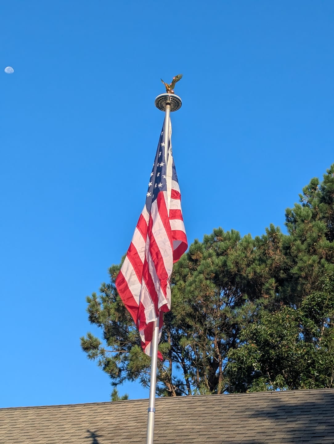 Customer photo review of 4' x 6' American Flag