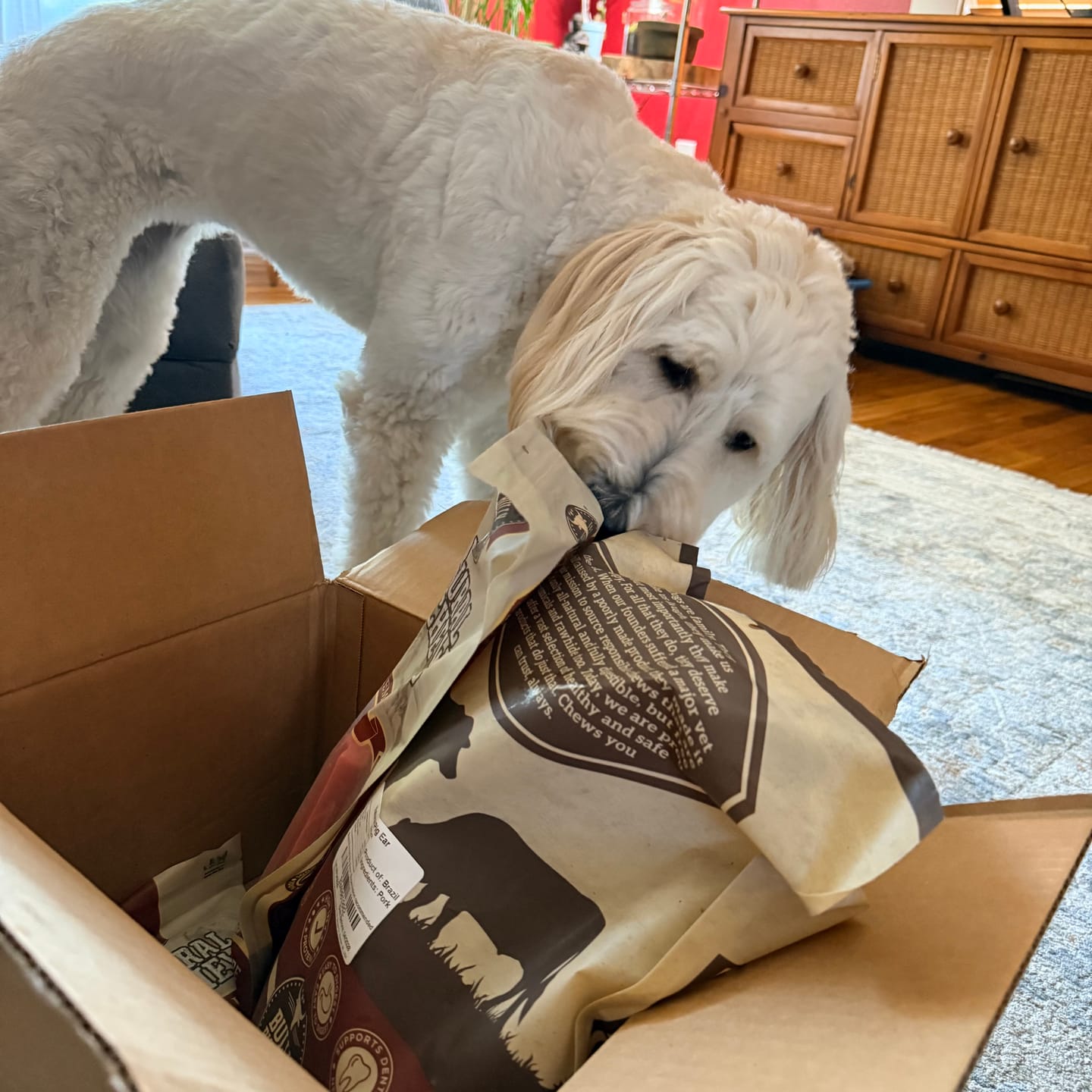 Customer photo review of Blueberry Himalayan Yak Chew (MEDIUM)