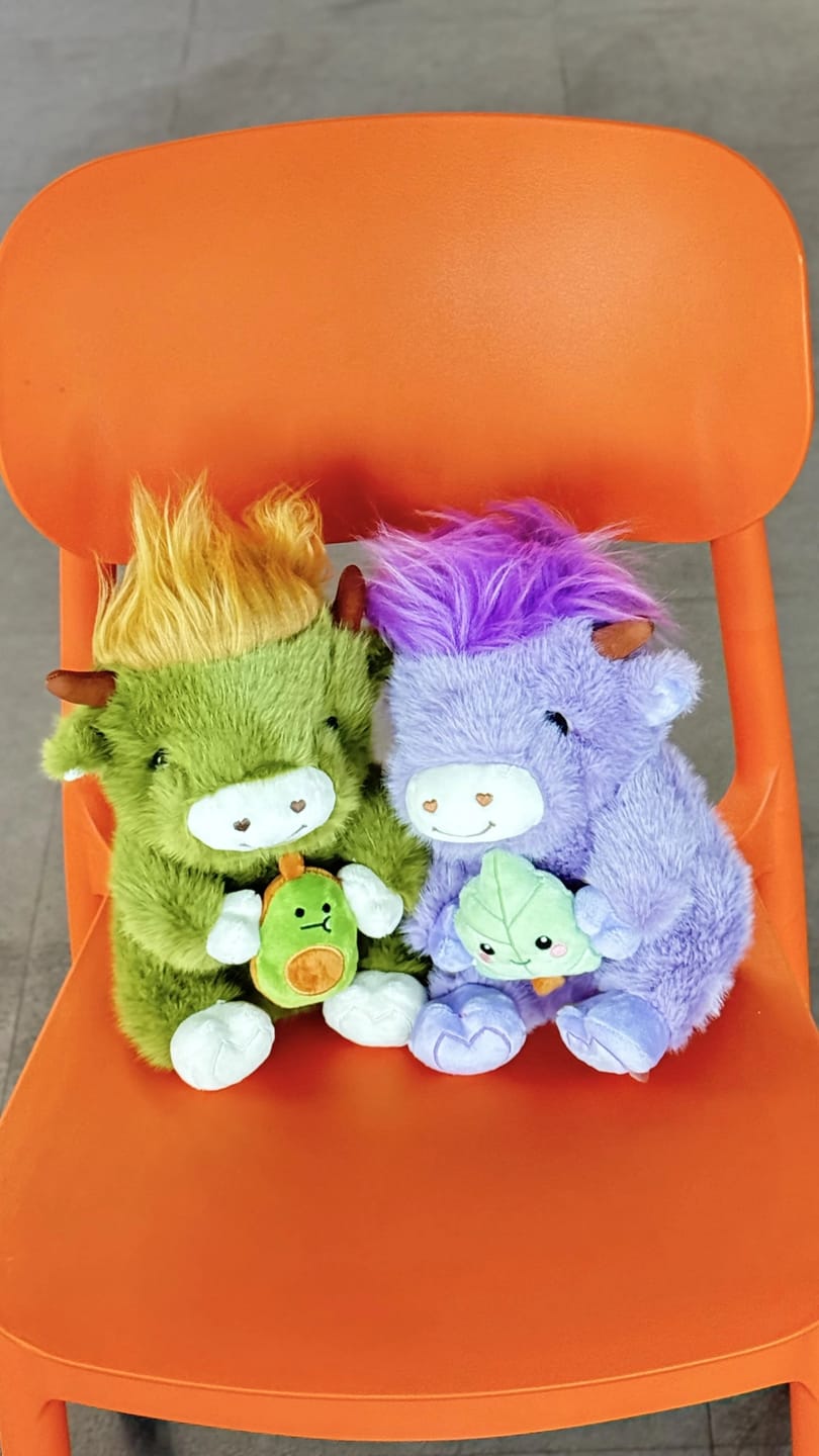 Customer photo review of Highland Cow Plushies