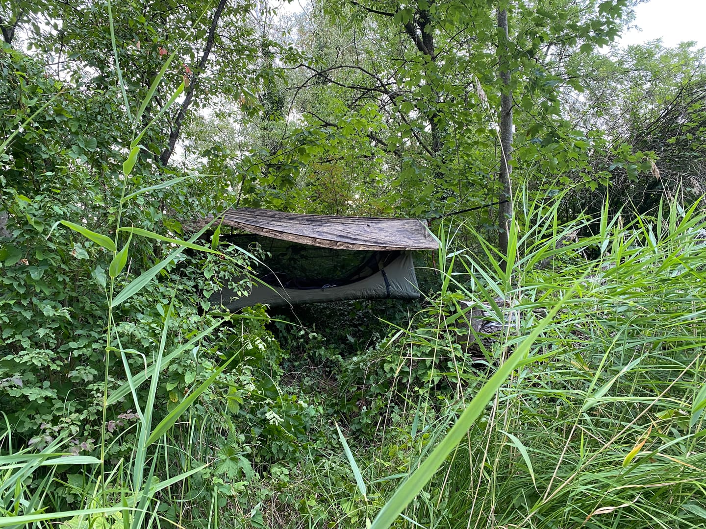 Customer photo review of Haven Tent Rainfly