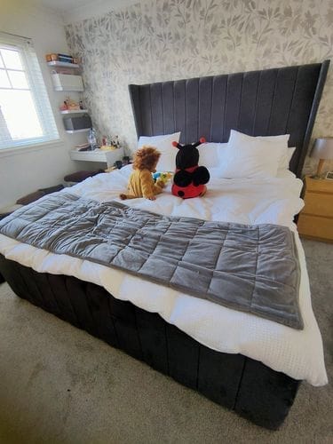 Customer photo review of Curve Winged Julie Stripe Panel Lined Bed