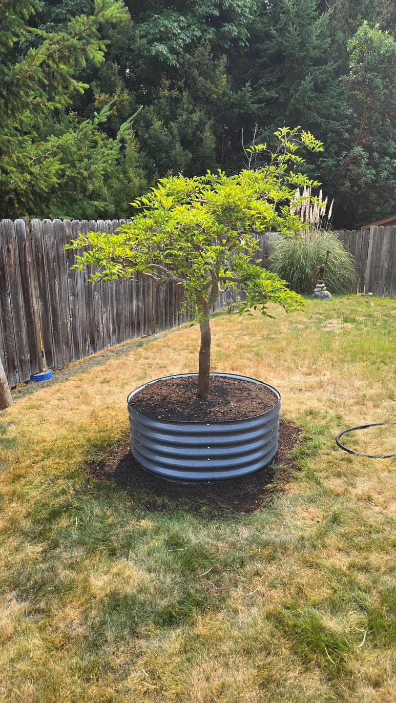 Customer photo review of 17” Tall Large Round