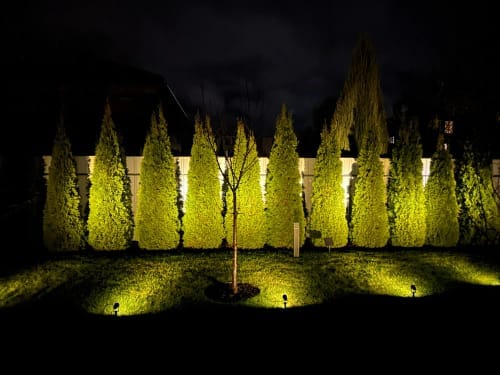 Customer photo review of Solar Garden Spotlights - 4-Pack IP65 Waterproof LED Light