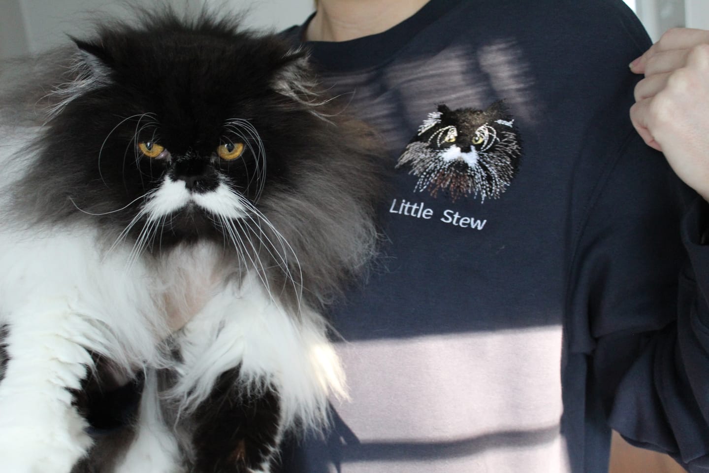 Customer photo review of Custom Pet Embroidered Icon Stitch Sweatshirt