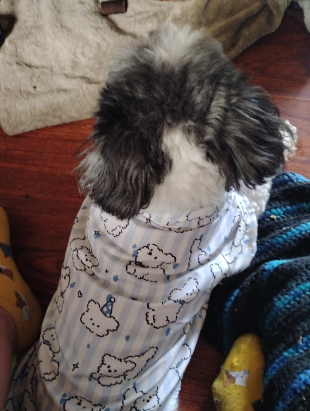 Customer photo review of FurLife™ 12 Months Flea and Tick Free