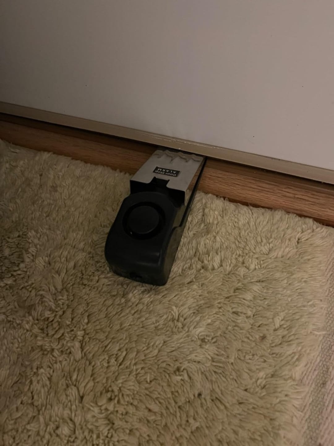 Customer photo review of AlarmKeil | Türstopper mit Alarm