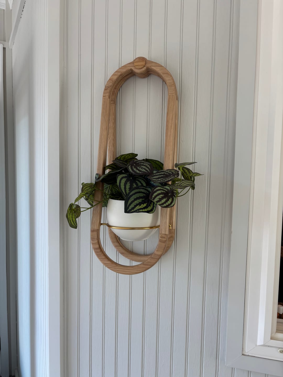 Customer photo review of Frame Wall Planter + Pot