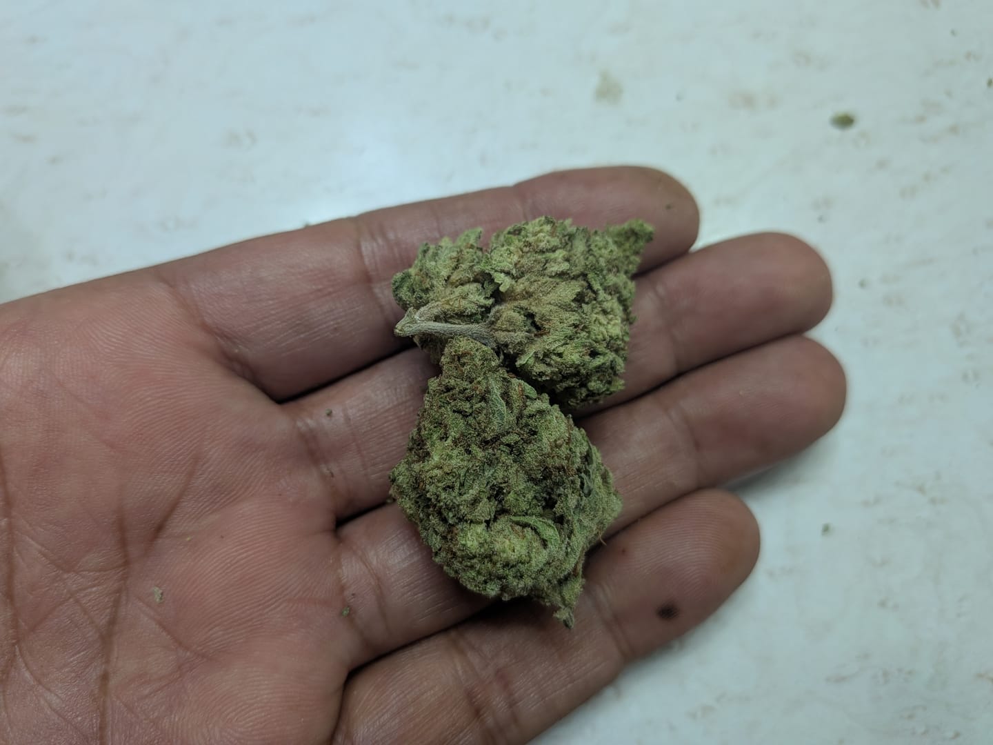 Customer photo review of Strawberry Cough THCA Flower