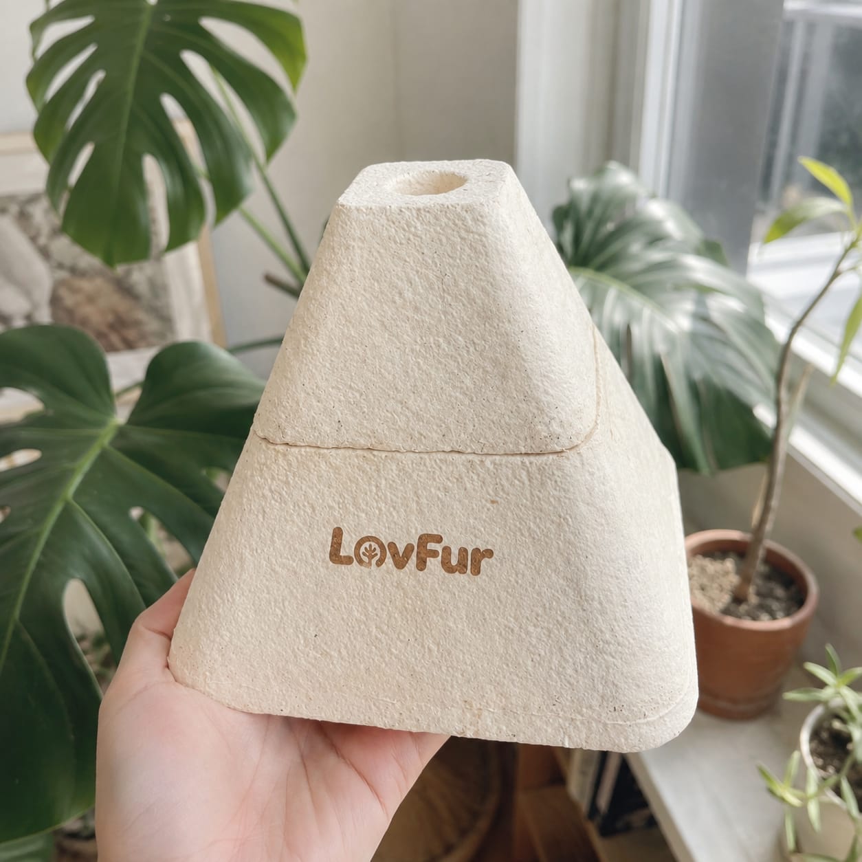 Customer photo review of LovFur™ Eternal Pyramid Mycelium Urn