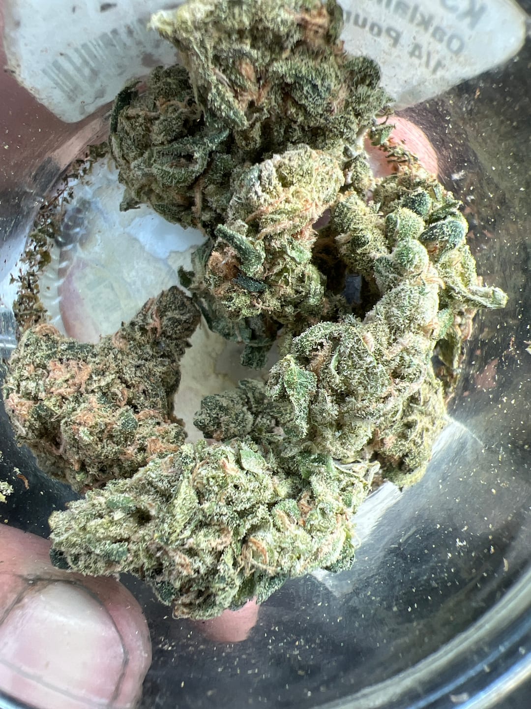 Customer photo review of Beyond Blue Dream Indoor - Bulk - Sativa