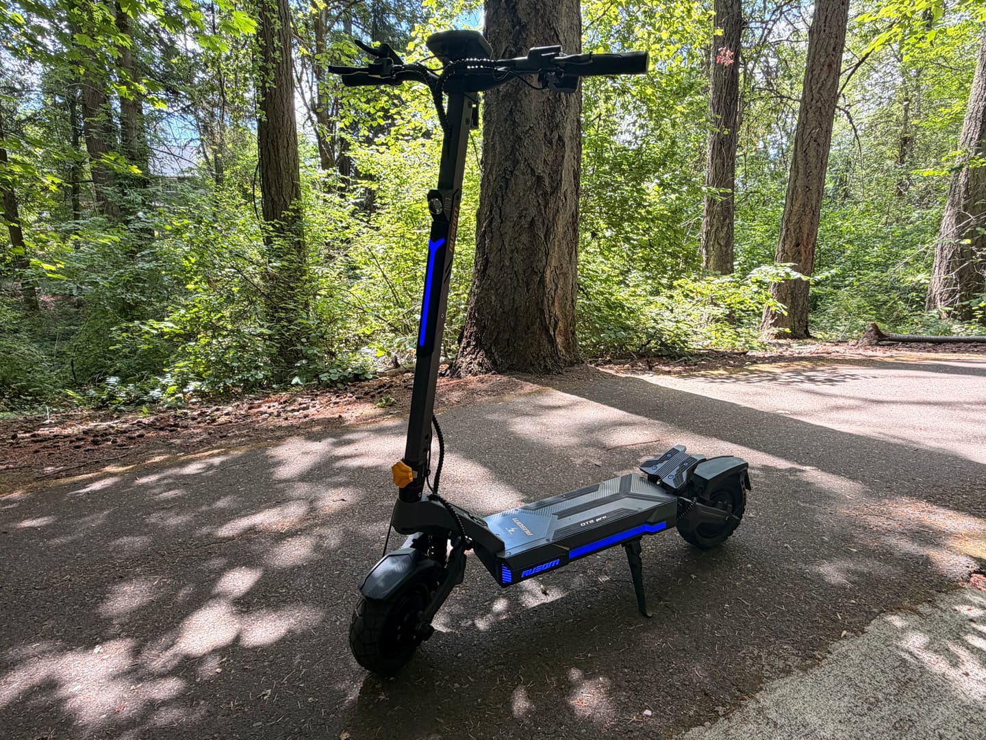Customer photo review of Ausom DT2 Pro Electric Scooter
