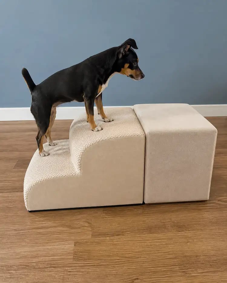 Customer photo review of AuraEase Soft Dog Stairs for Bed & Couch