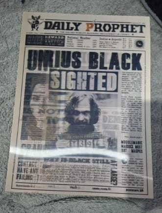 Customer photo review of The Daily Prophet Magic Frame
