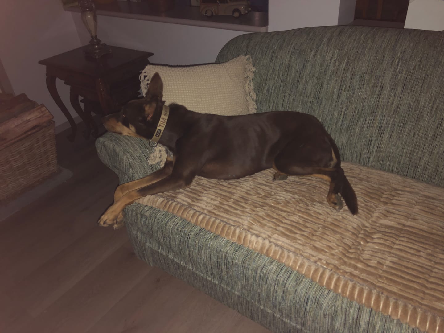 Customer photo review of Cosy Couch - Couch Cover