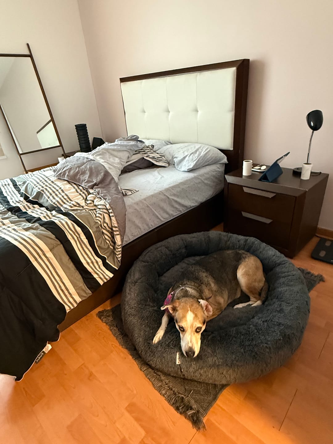 Customer photo review of Cobija Impermeable para Perros