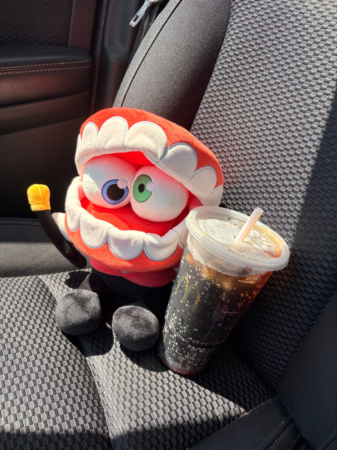 Customer photo review of Caine Plush