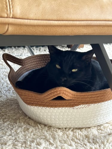 Customer's black cat resting inside the round, white and brown fabric Instinct Basket under a piece of furniture.