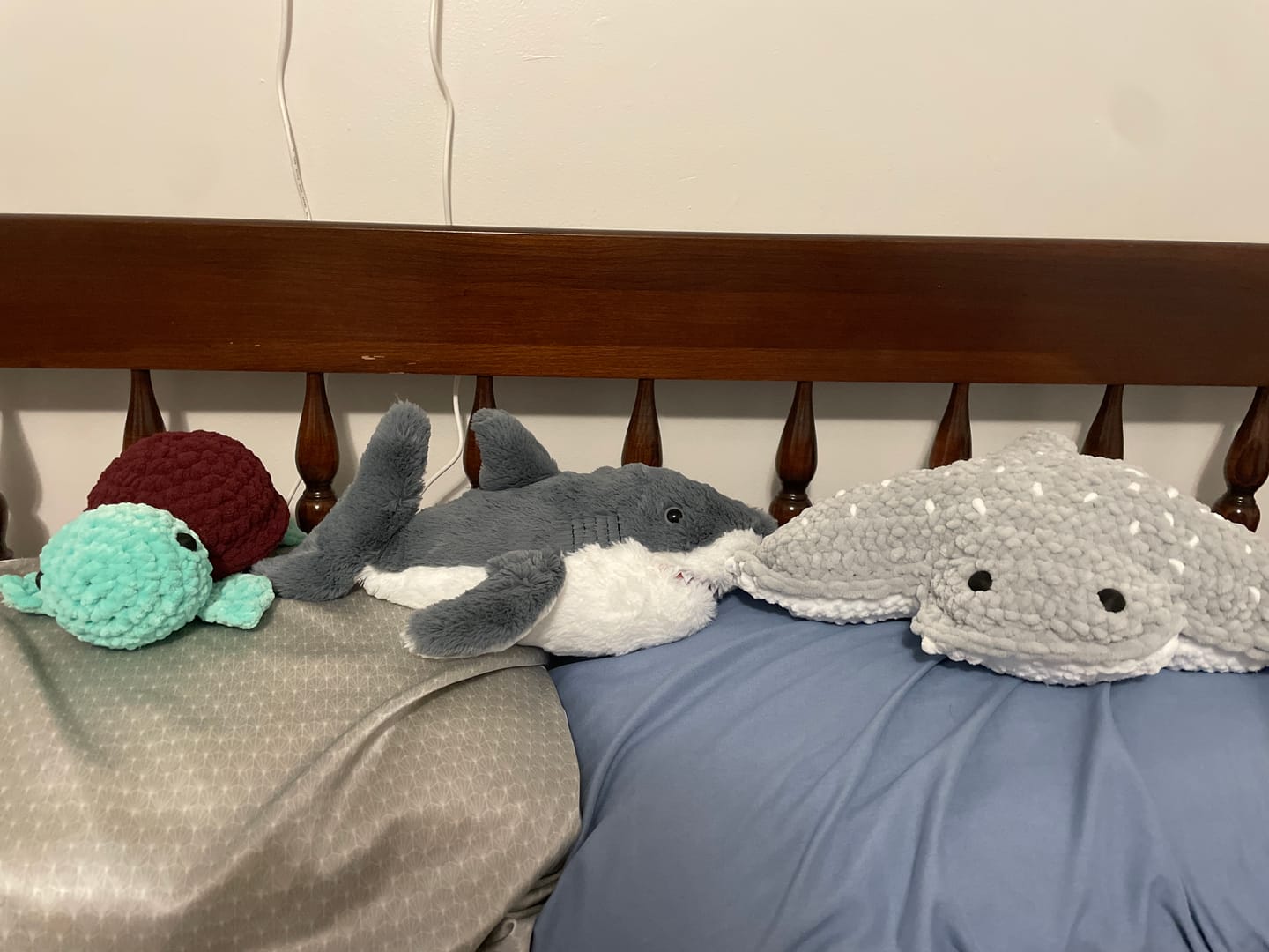 Customer photo review of The Voyage Plush