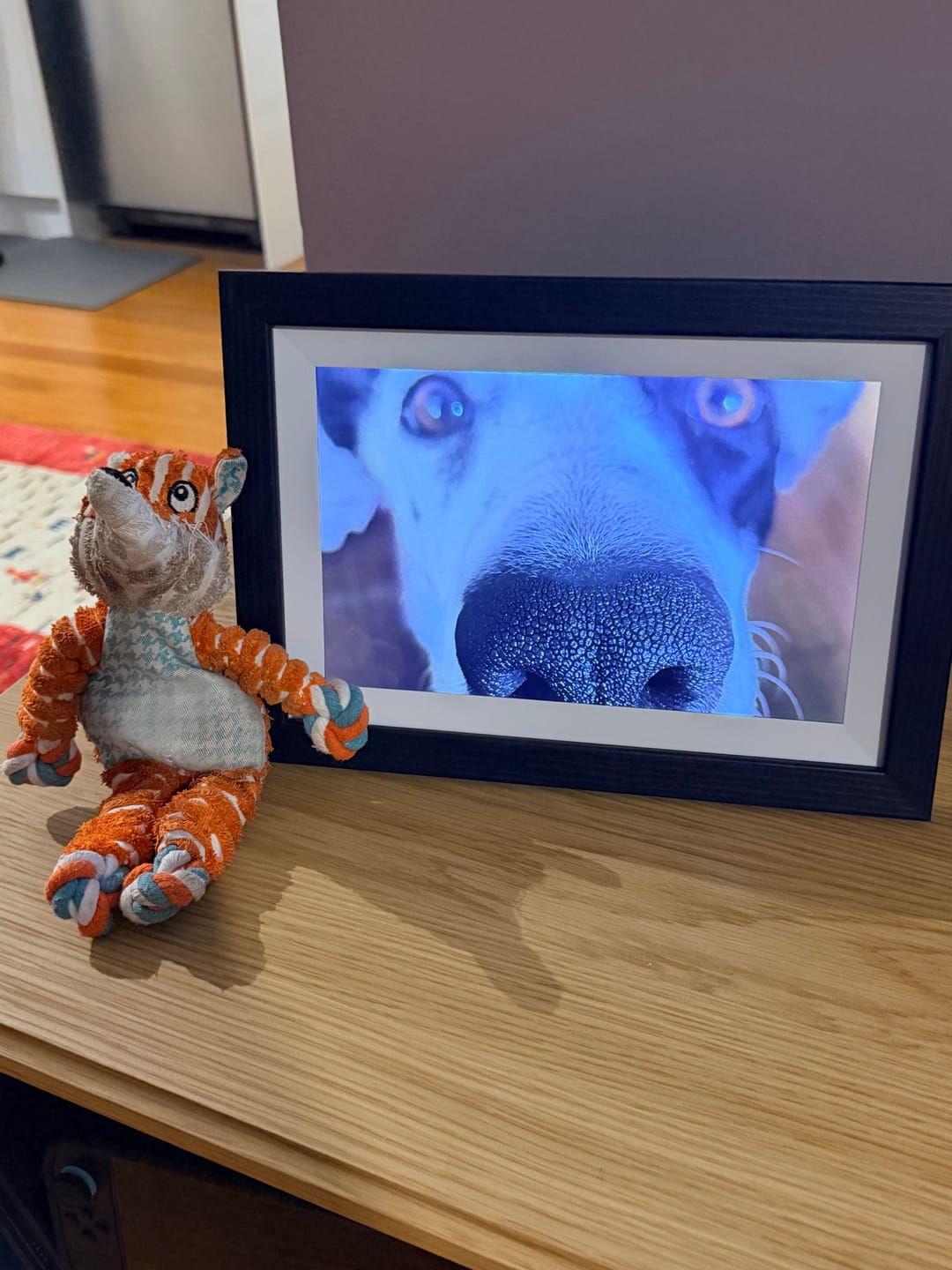 Customer photo review of Digital Photo Frame