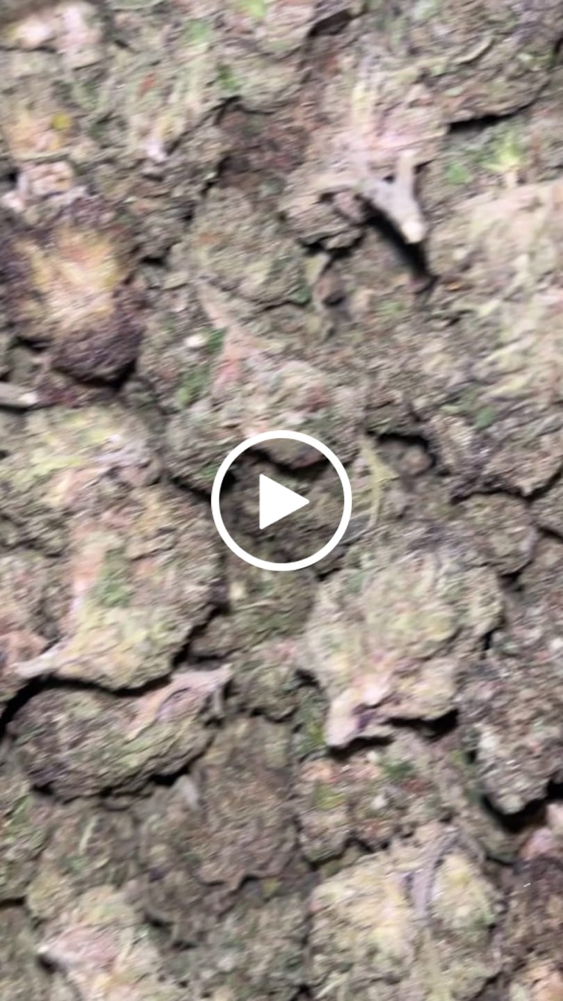 Customer video review of Permanent Marker - Bulk - Hybrid