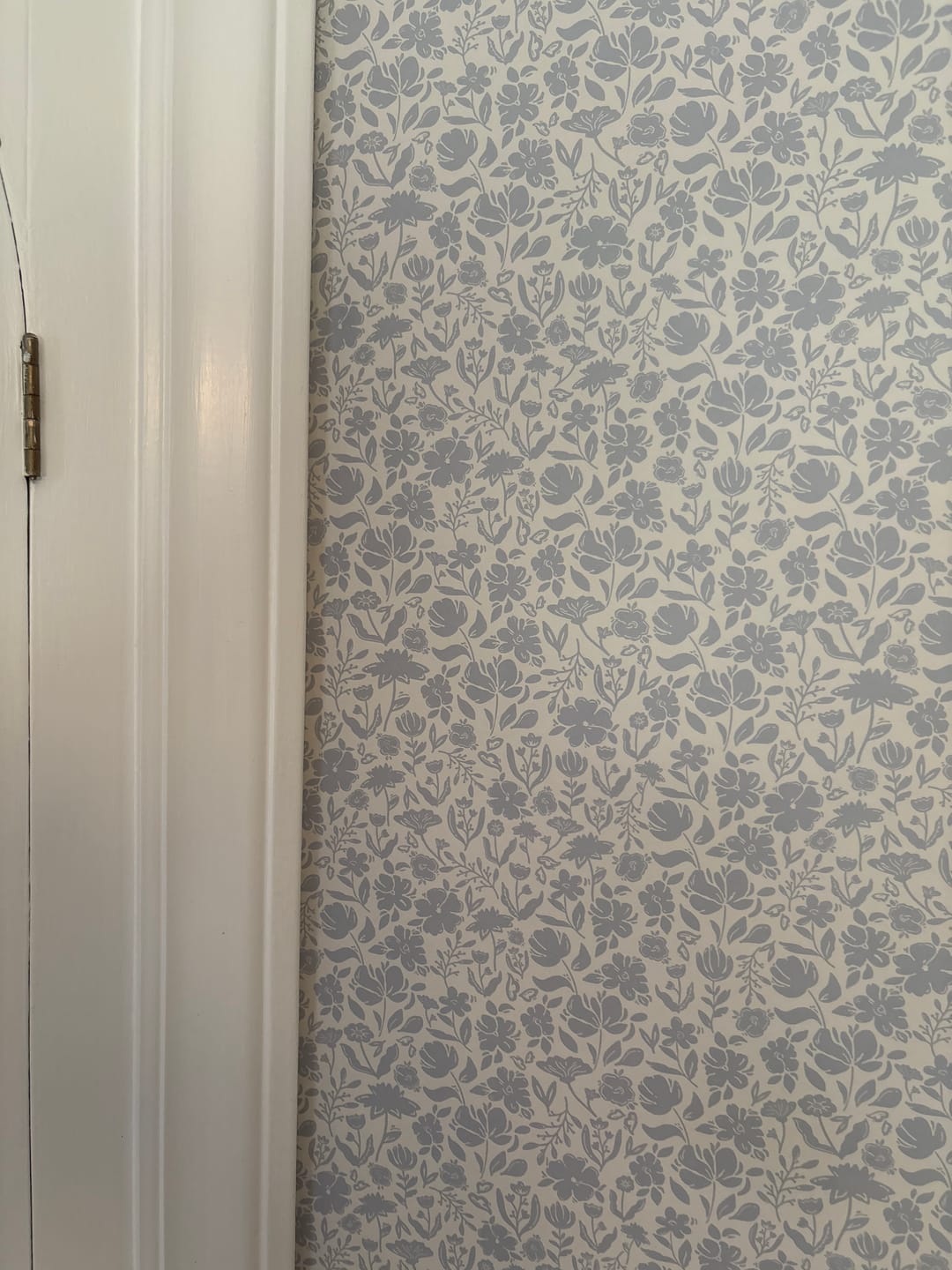 Customer photo review of Lottie