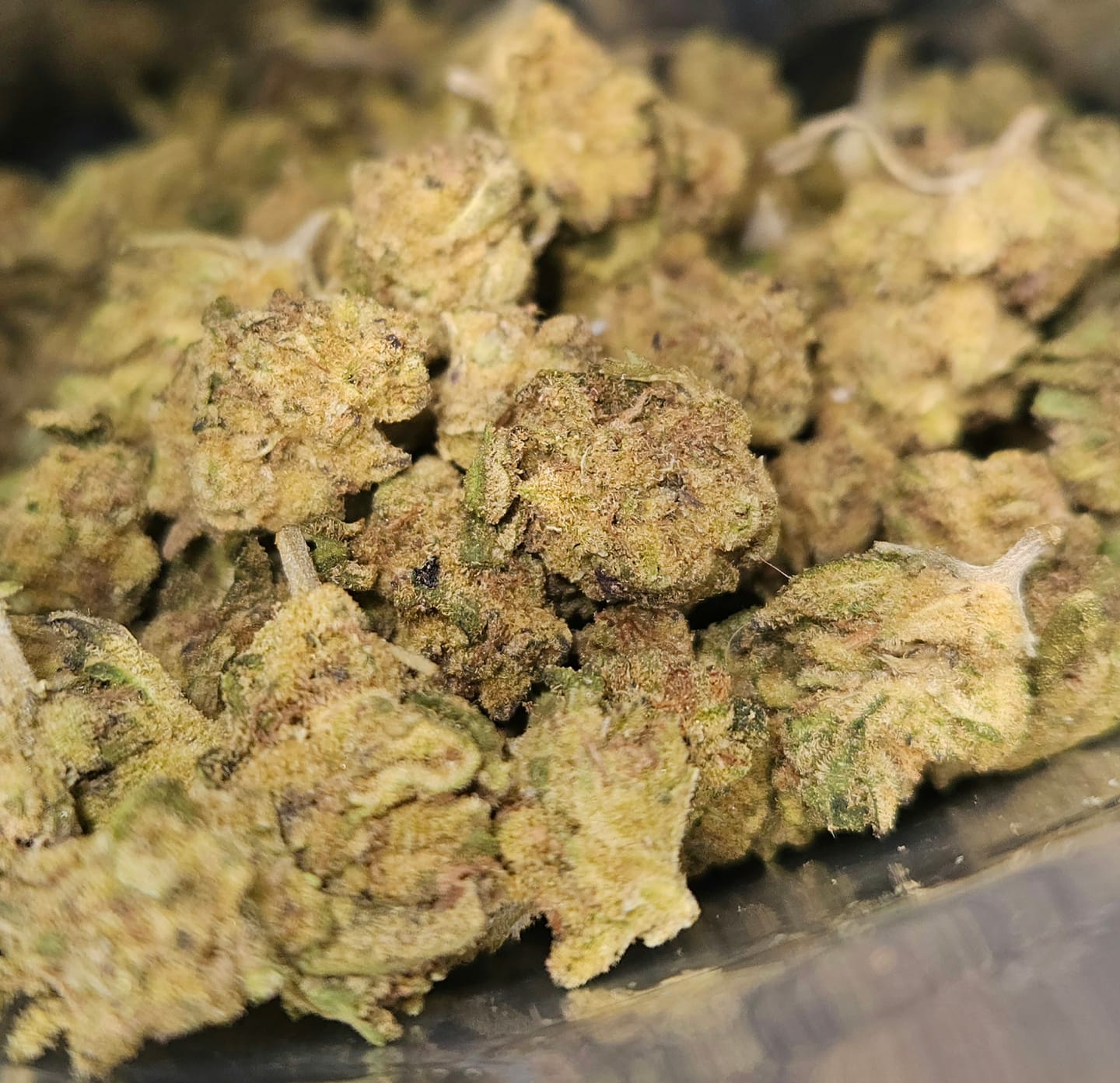 Customer photo review of Bulk THCA Flower Pounds