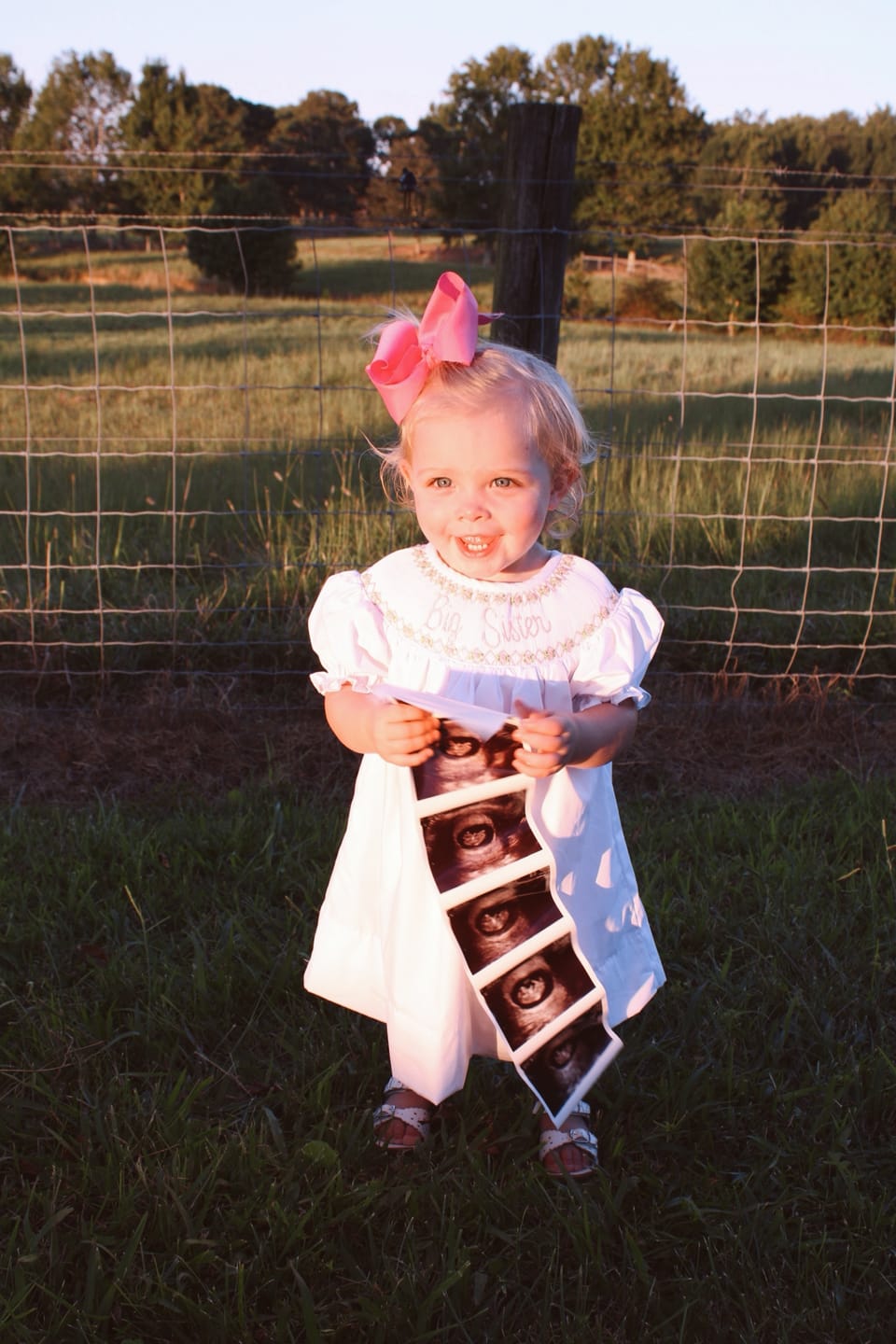 Customer photo review of Pink Big Sister Smocked Bishop Dress