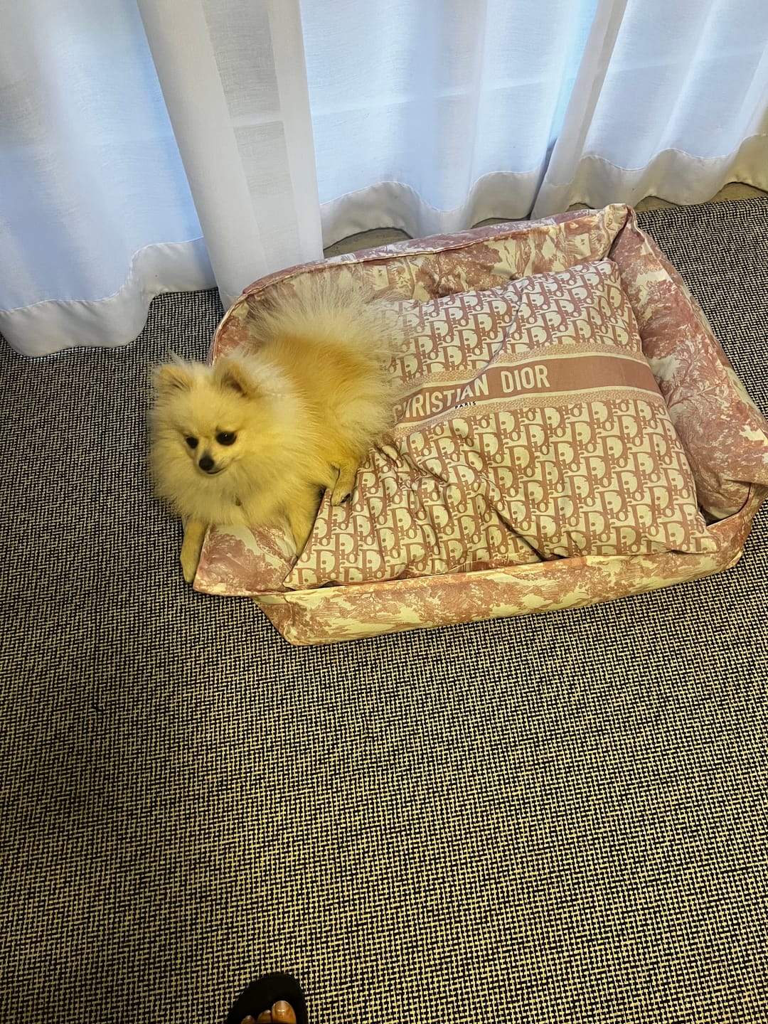 Customer photo review of Cloud Nest Bed