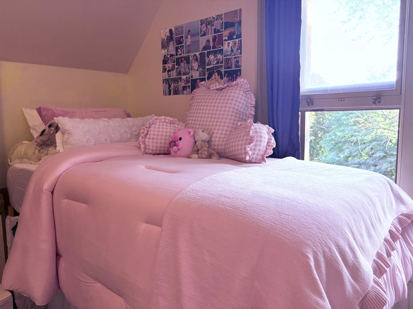 Customer photo review of MarshMellow Comforter