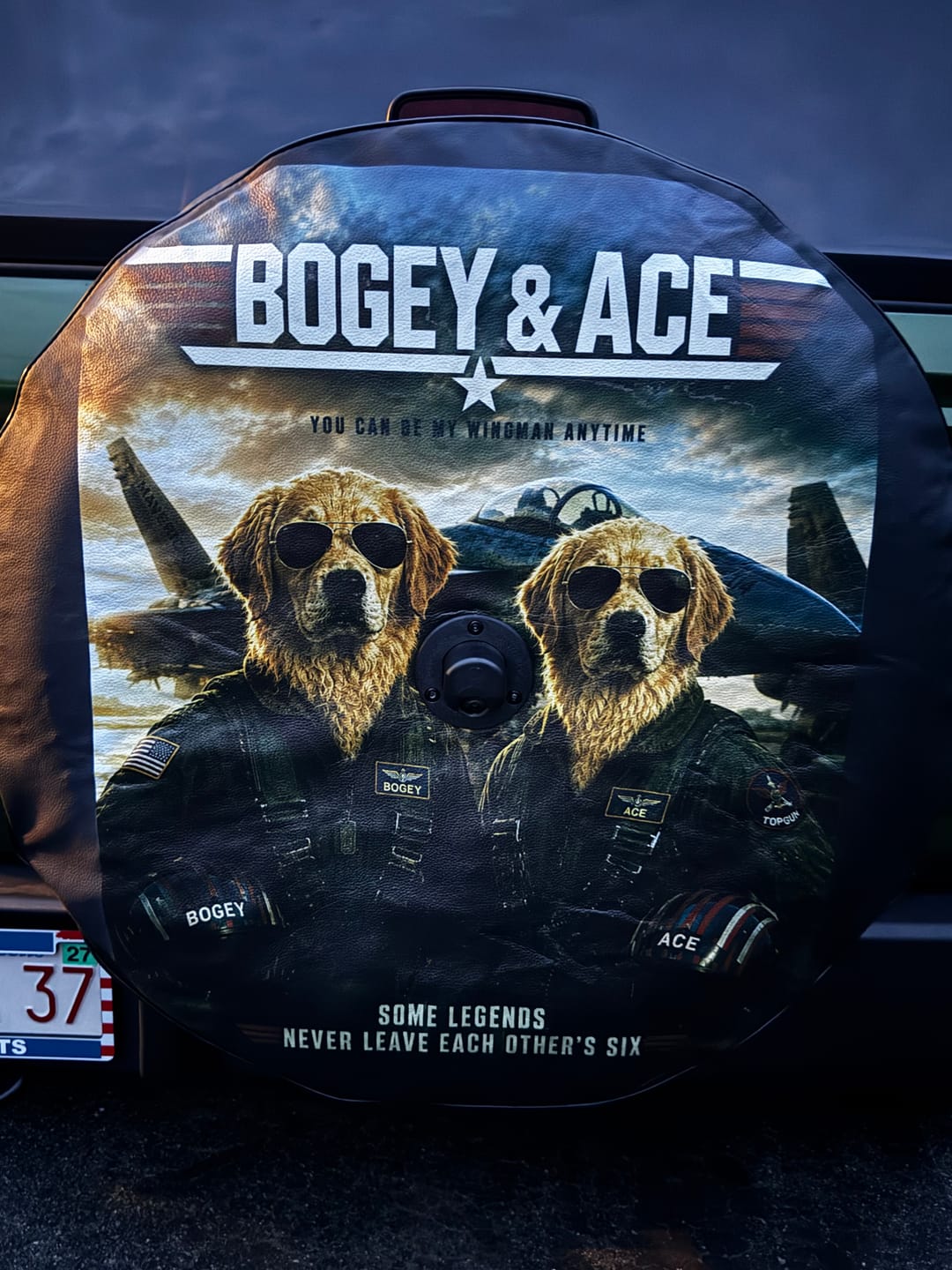 Customer photo review of CUSTOM Ford Bronco Tire Cover