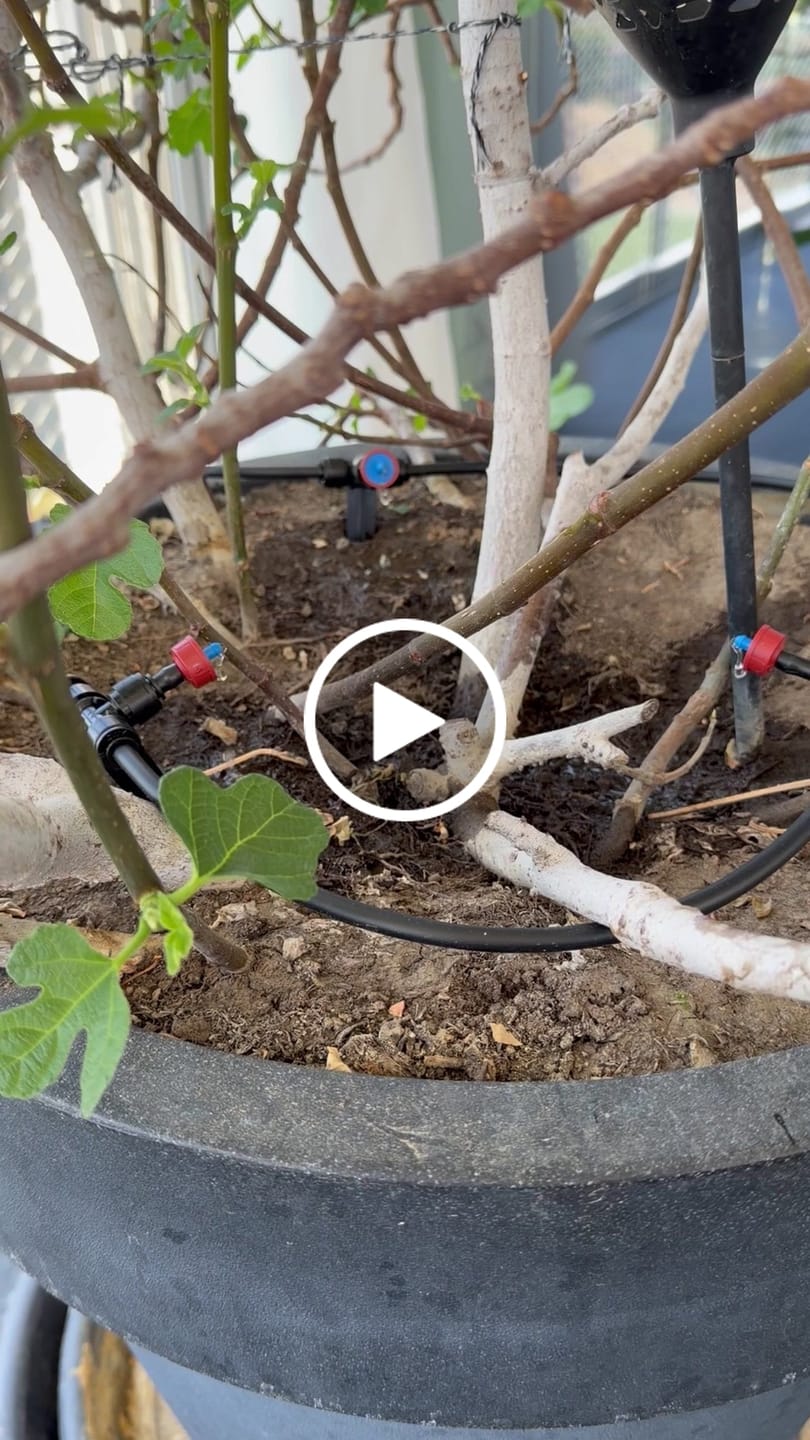 Customer video review of Boum Pro Wassertank 35 L